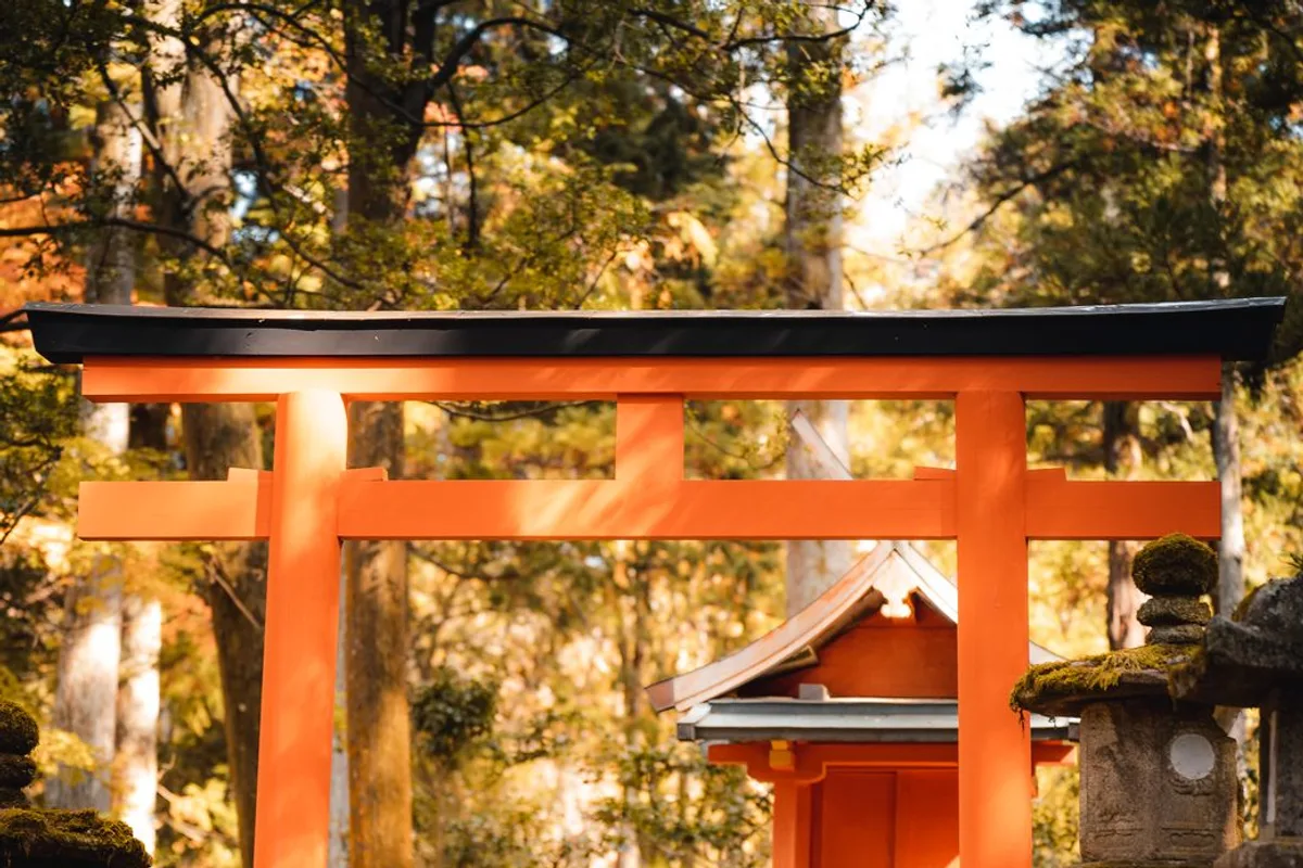 Best Day Trips from Kyoto