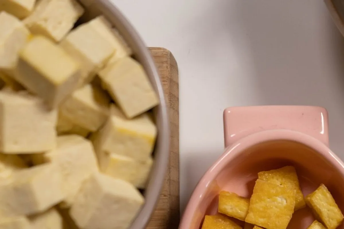 Fresh tofu served in a ceramic bowl